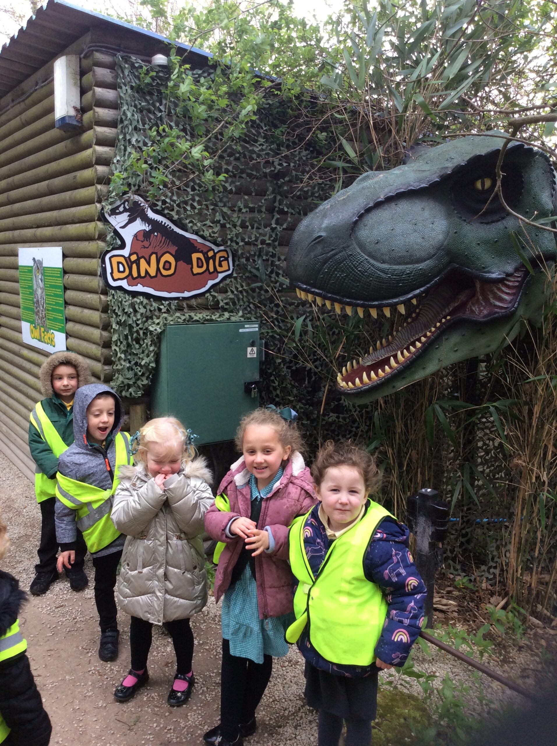 Wrens Visit the Butterfly House