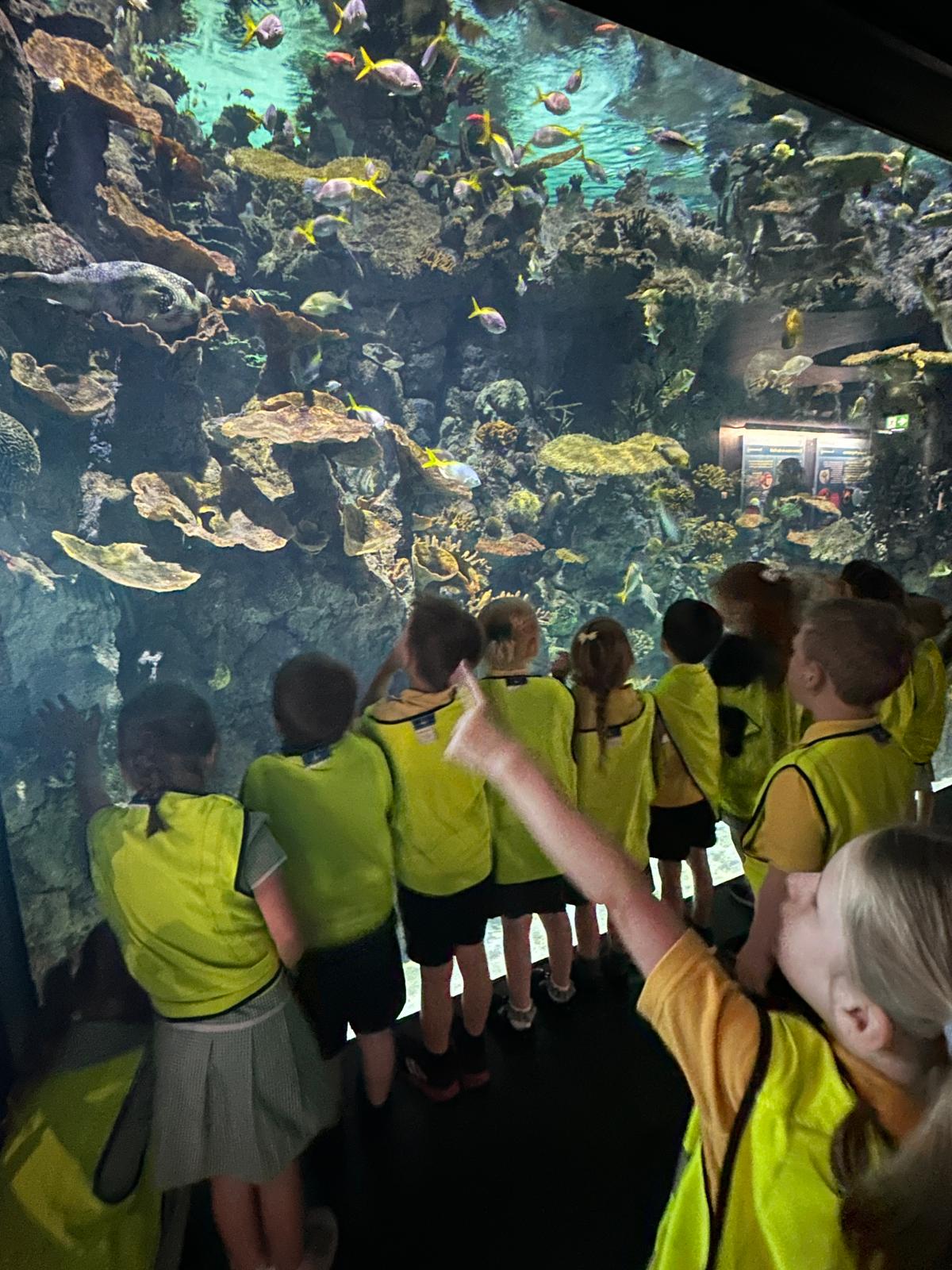 Into the Blue: Wrens Explore the Deep