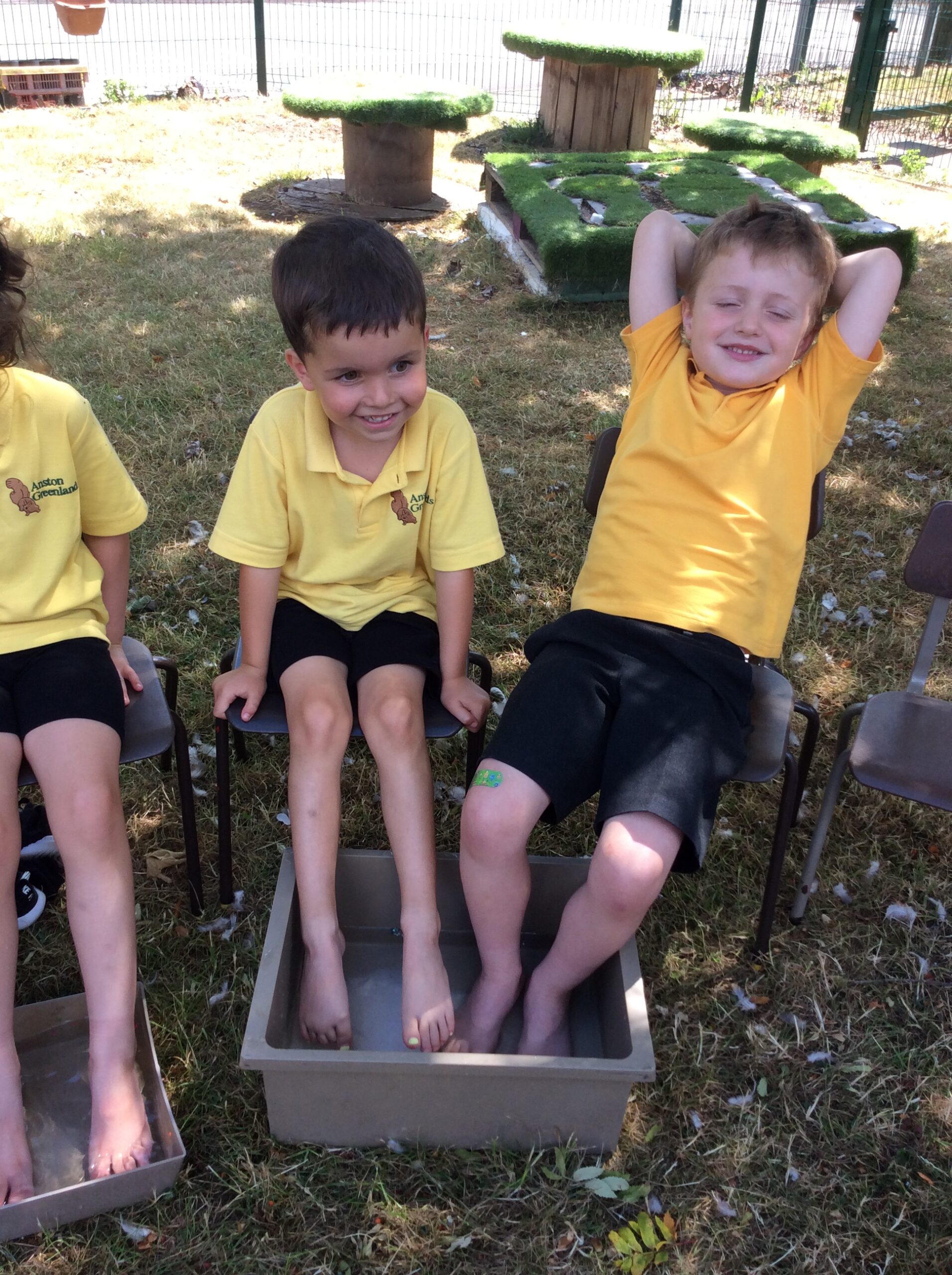 Wrens – Beat the Heat, Feet First!
