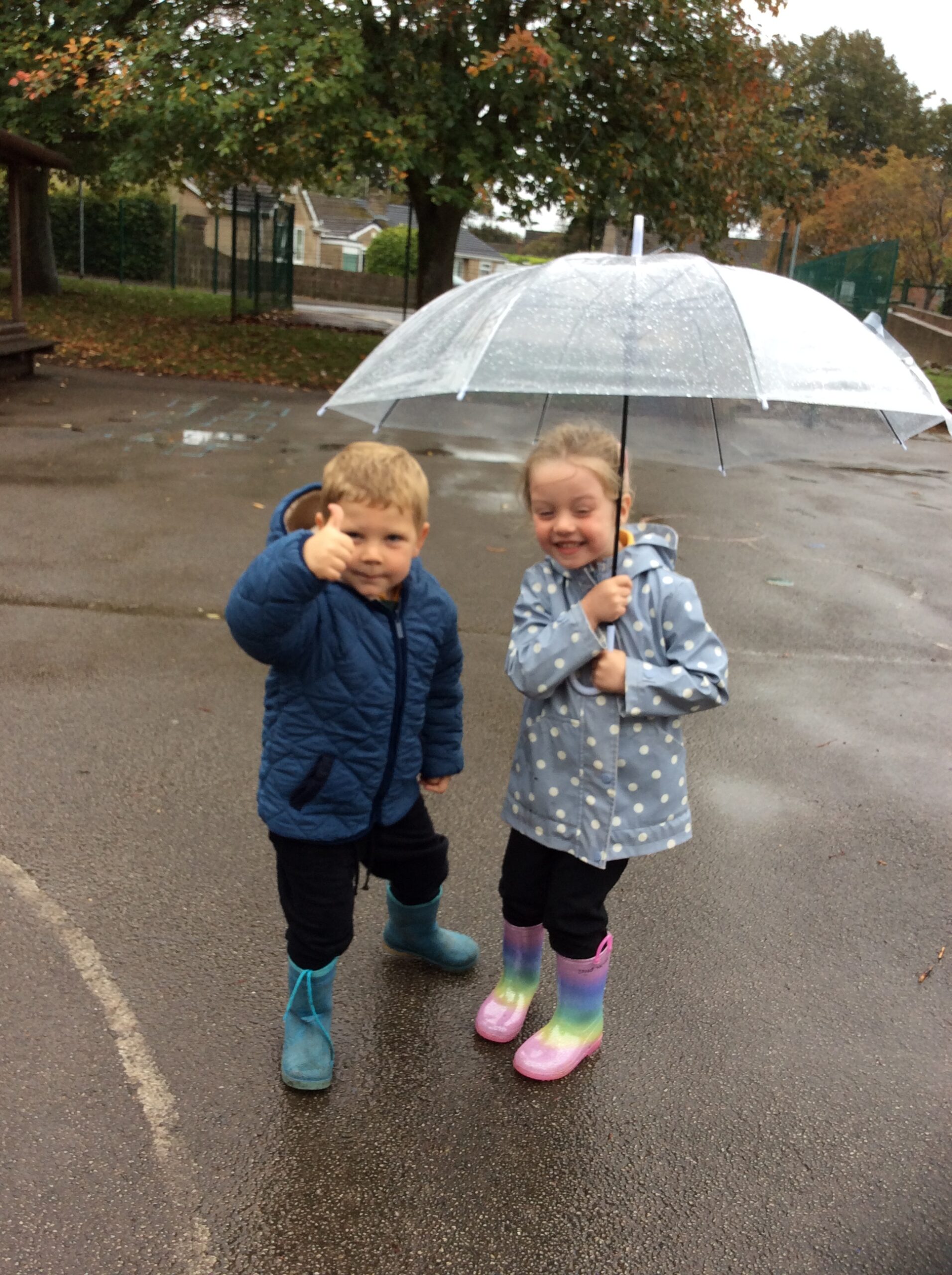 Rainy Play? No Problem for the Wrens!