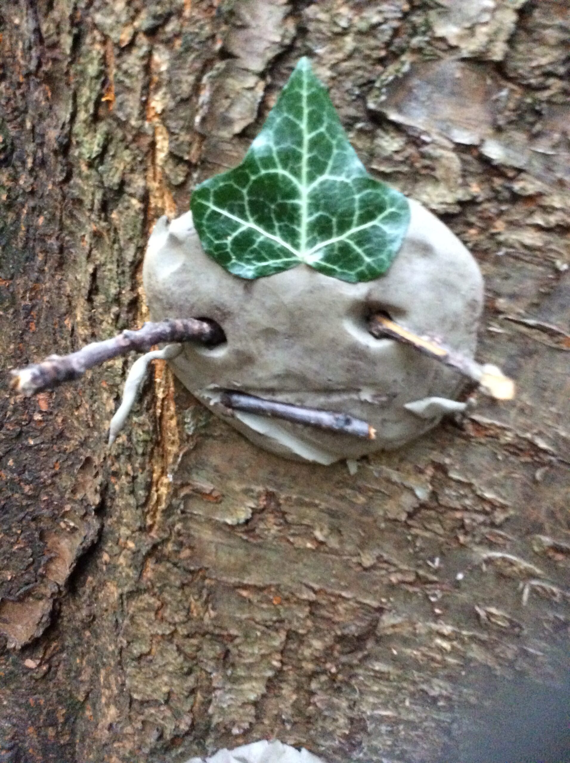 Forest School is lots of fun!