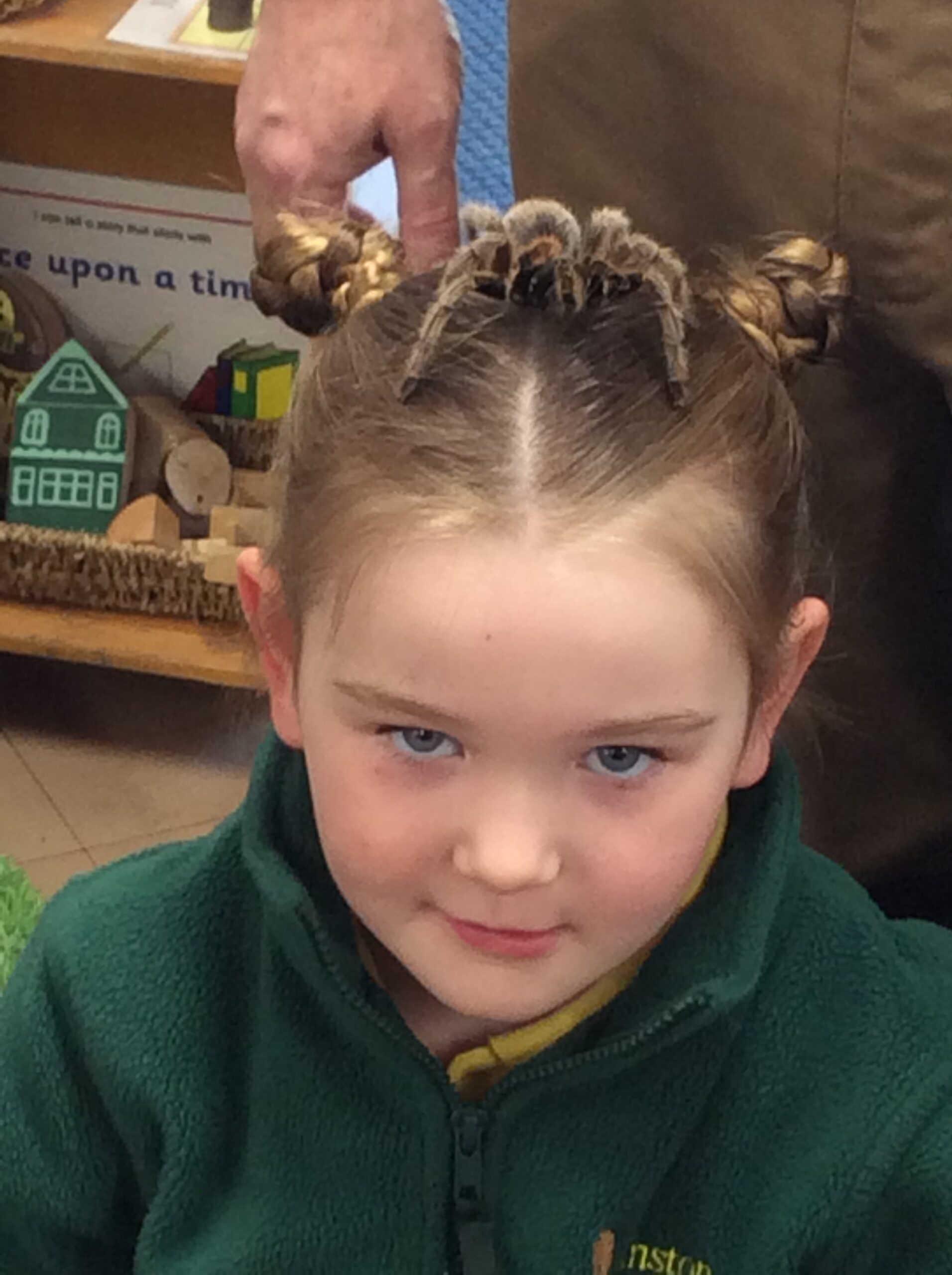 Wrens – Our Capitating Creatures Workshop