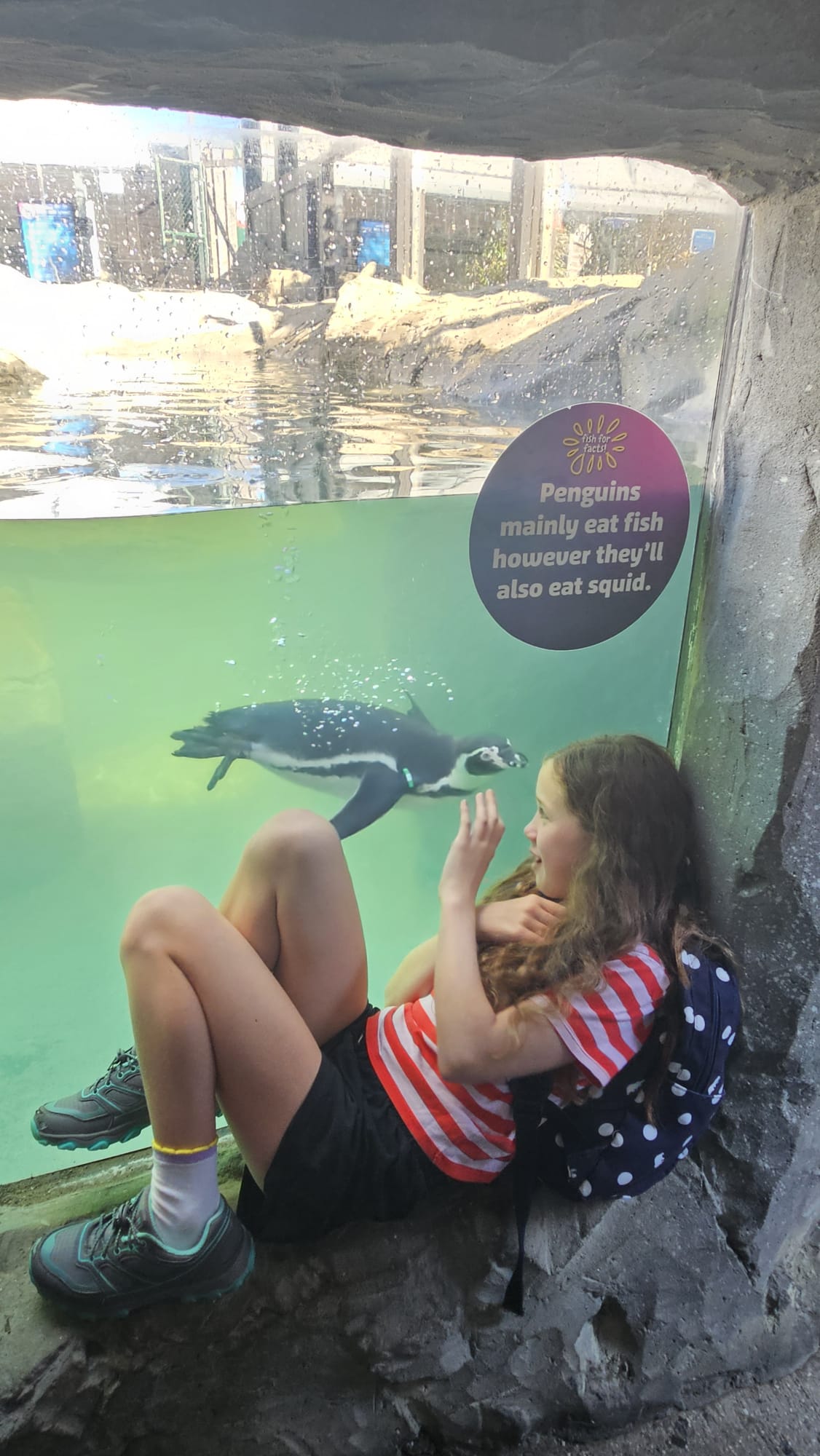 Day Two at Boggle Hole – an afternoon at the Sea Life Centre