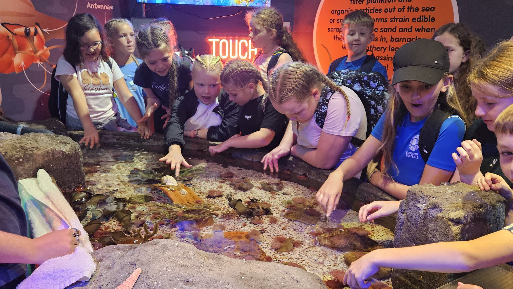 Boggle Hole Day 2 – Final photos from a great day at the Sea Life Centre
