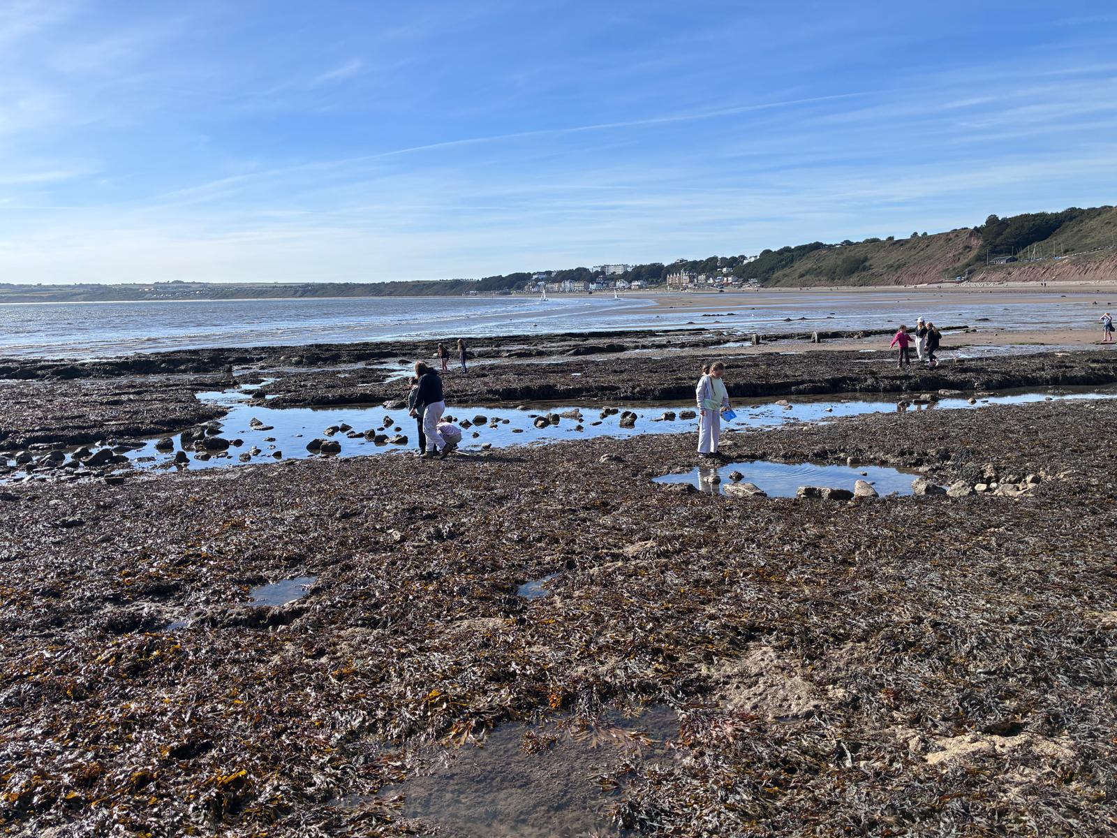 Boggle Hole – Day 4